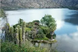 Valle FÃ©rtil. San Juan. Argentina jigsaw puzzle