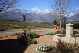 Cape Winelands