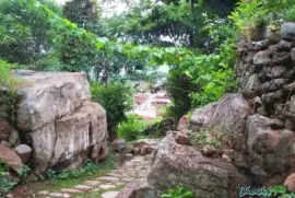 camino 1 de Lenguerke