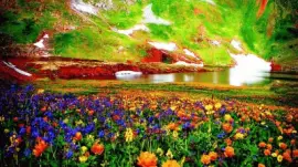 Beautiful Mountain Flowers-Art jigsaw puzzle