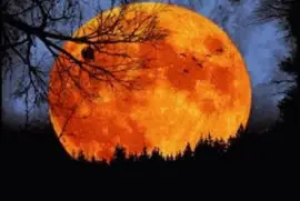 פאזל של sept10