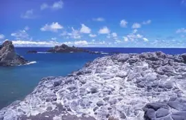 NATUREZA jigsaw puzzle