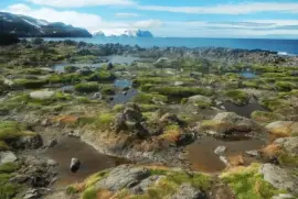 En la AntÃ¡rtida Argentina jigsaw puzzle