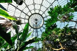 FaraÃ³n jigsaw puzzle