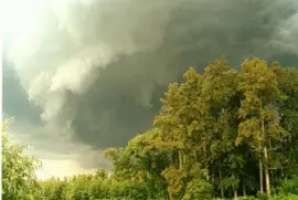 tormenta jigsaw puzzle