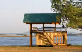 NATUREZA jigsaw puzzle