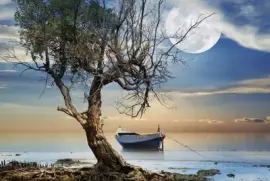 imagens jigsaw puzzle