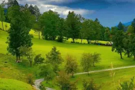 imagens jigsaw puzzle