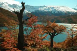 En El ChaltÃ©n. Patagonia Argentina jigsaw puzzle