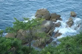 selva y mar jigsaw puzzle