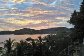 dorado pacÃ­fico jigsaw puzzle