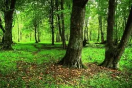 summer-147 jigsaw puzzle