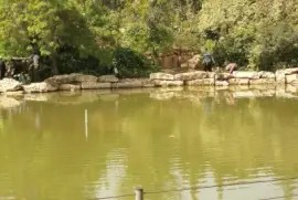 ×‘×¨×™×›×ª ×”× ×•×™ jigsaw puzzle