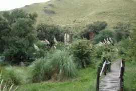 En Merlo. San Luis. Argentina