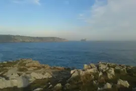 varios jigsaw puzzle