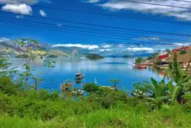 natureza jigsaw puzzle