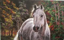 cavalo jigsaw puzzle