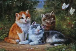 gatinhos