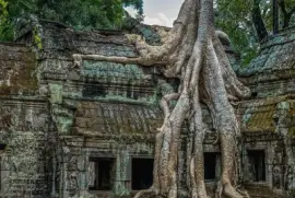 Ta Prohm, Camboya