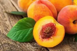 Durazno (Prunus persica)