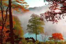 imagens jigsaw puzzle