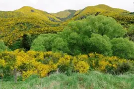 imagens jigsaw puzzle