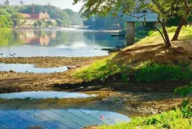 natureza jigsaw puzzle