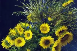 girasol jigsaw puzzle