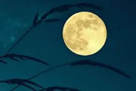 פאזל של sept27