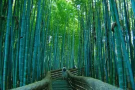 imagens jigsaw puzzle