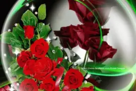 imagens jigsaw puzzle