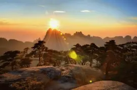 NATUREZA jigsaw puzzle