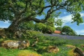 imagens jigsaw puzzle