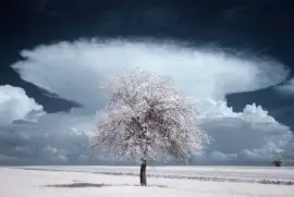 imagens jigsaw puzzle