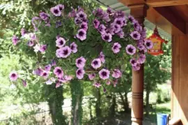 Purple flowers jigsaw puzzle