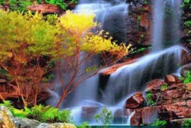 imagens jigsaw puzzle