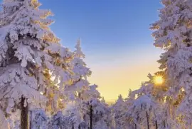 imagens jigsaw puzzle