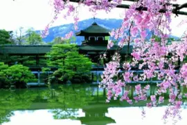 (13) Paisagem jigsaw puzzle