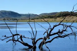 NATUREZA jigsaw puzzle