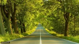 imagens jigsaw puzzle