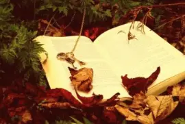 LIBROS jigsaw puzzle