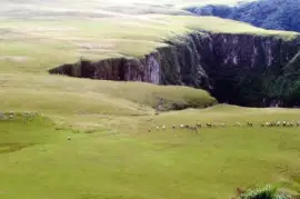 imagens jigsaw puzzle