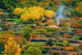 imagens jigsaw puzzle