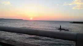 é›™é›™ jigsaw puzzle