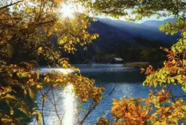 (32) Paisagem jigsaw puzzle