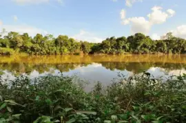 Arroyo Piray GuazÃº. Misiones. Argentina jigsaw puzzle