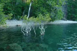 Lago Puelo. Chubut. Argentina jigsaw puzzle
