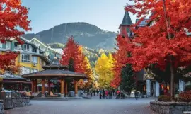 autumn-150 jigsaw puzzle