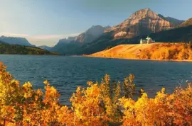 NATUREZA jigsaw puzzle