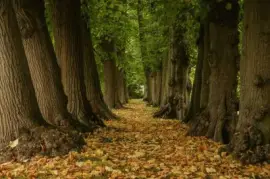 Pintura paisajista jigsaw puzzle